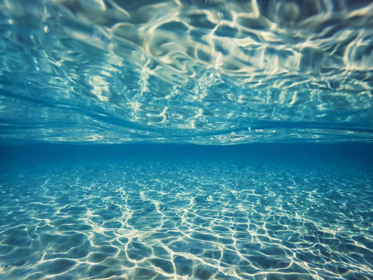 Ocean Acidification and Coral Reefs: A Simple Explainer